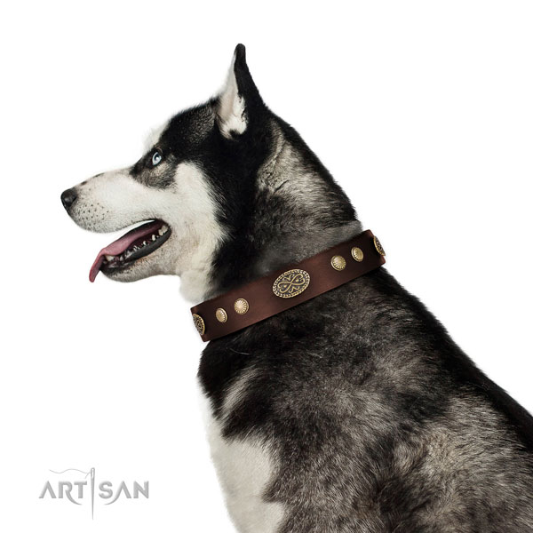 Rust resistant buckle on full grain leather dog collar for walking