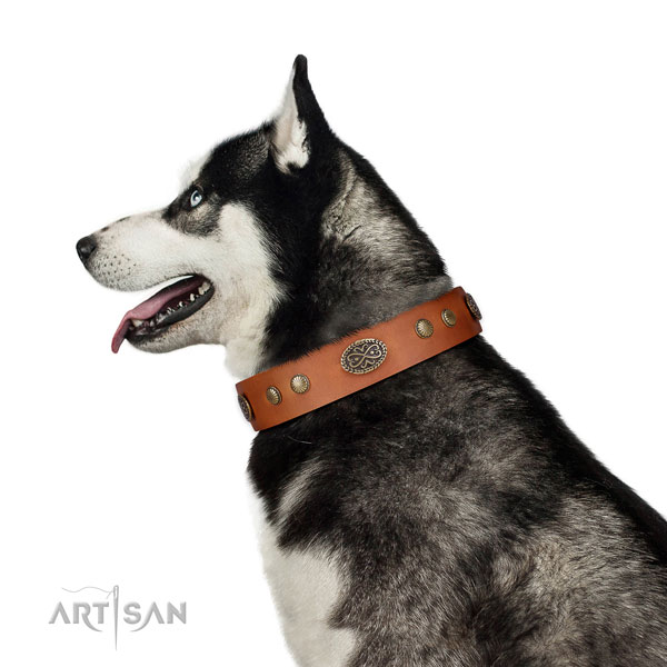 Rust resistant D-ring on Genuine leather dog collar for stylish walking