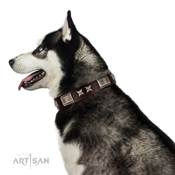 Fine quality collar of full grain leather for your impressive doggie