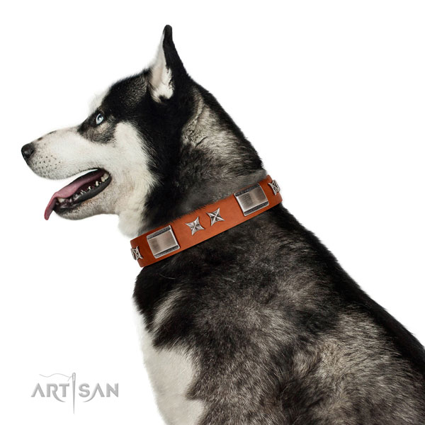 Daily use top notch genuine leather dog collar with embellishments