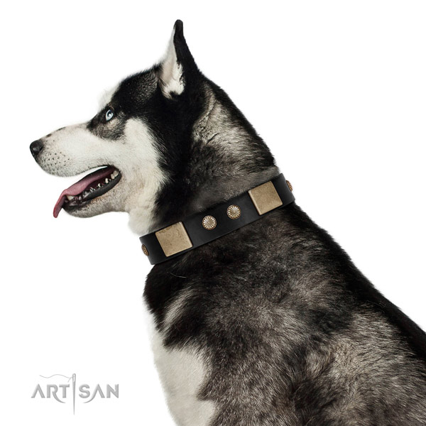 Perfect fit full grain genuine leather collar for your beautiful doggie