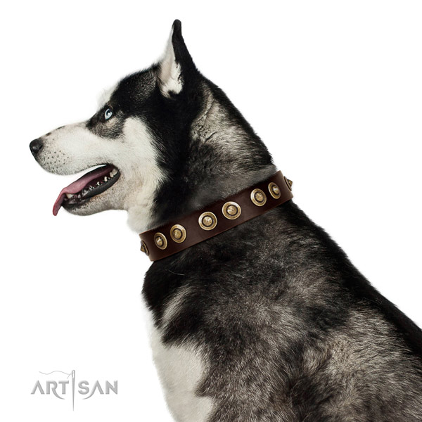 Rust resistant D-ring on natural genuine leather dog collar for stylish walking
