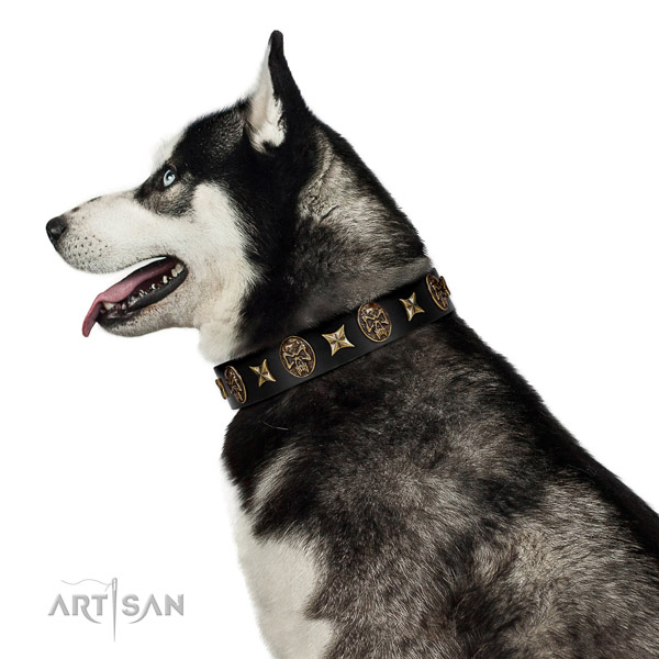 Comfortable wearing dog collar of natural leather with unique decorations