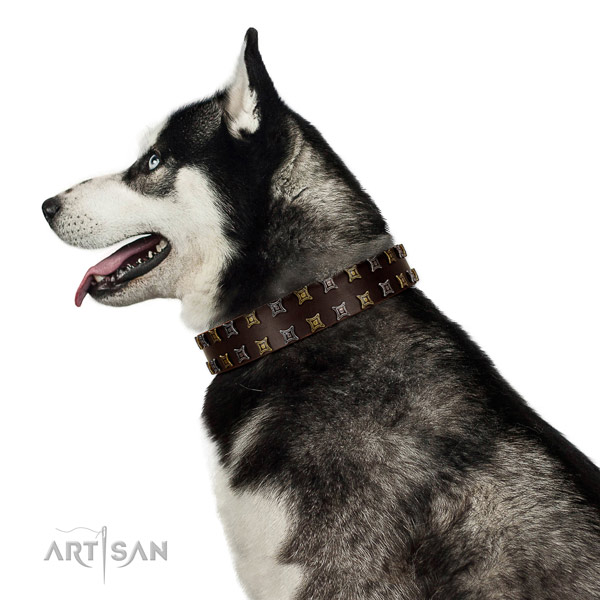 Reliable leather dog collar with decorations for your canine