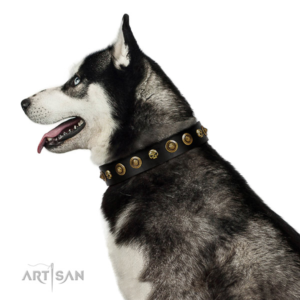 Soft to touch full grain genuine leather dog collar with embellishments for your doggie