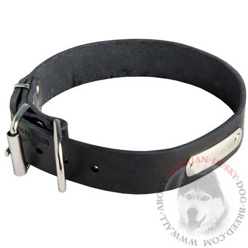 Leather Collar for Siberian Husky Identification