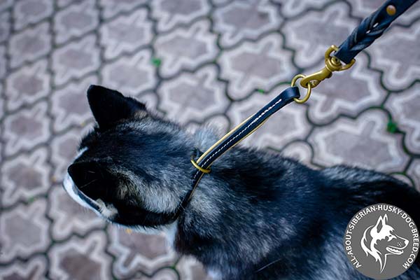 Safe Siberian Husky Choke Collar with Brass Hardware