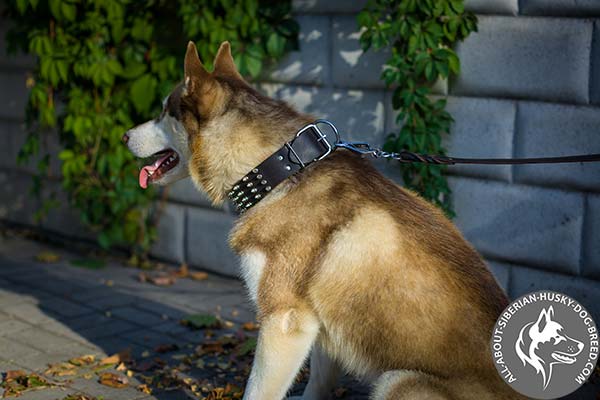 Spiked Design Leather Dog Collar with Strong Hardware