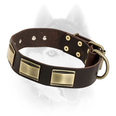 Luxury style leather Siberian Husky collar with old style brass plates