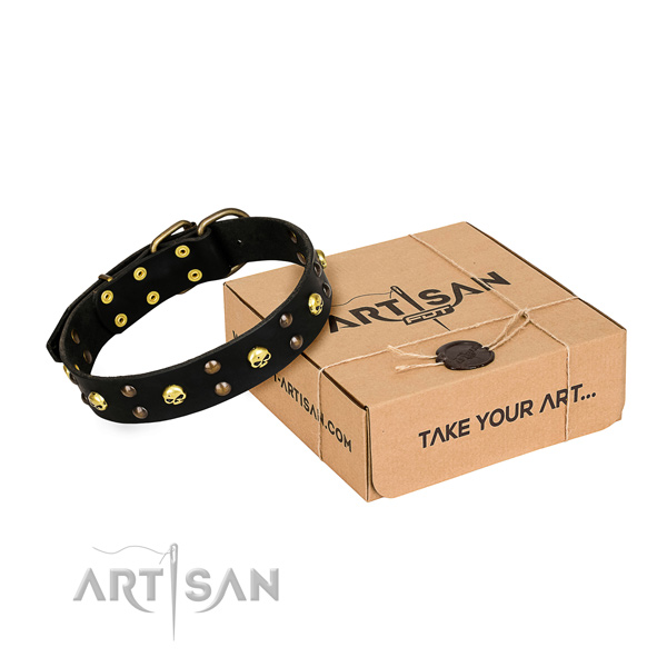 Casual leather dog collar with incredible embellishments