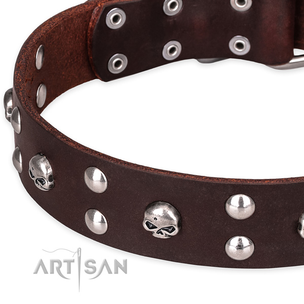 Daily leather dog collar with luxurious adornments