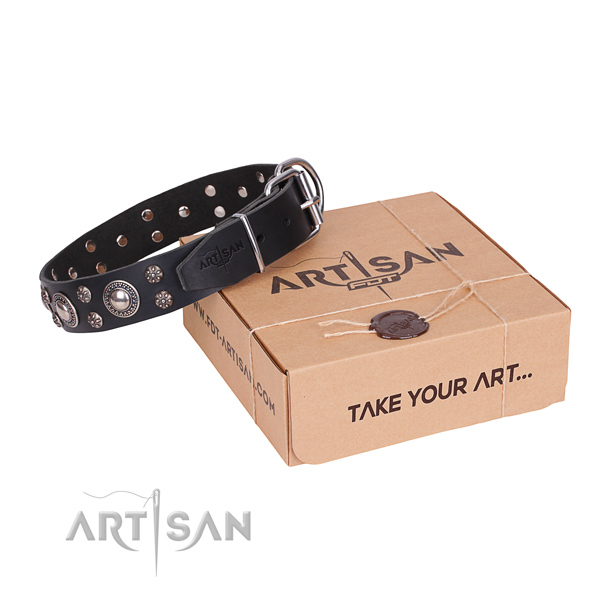 Daily leather dog collar with astounding adornments