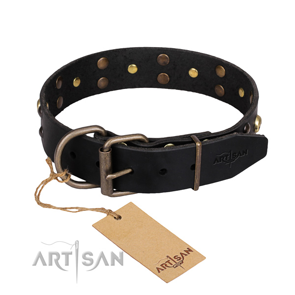 Long-wearing leather dog collar with riveted details