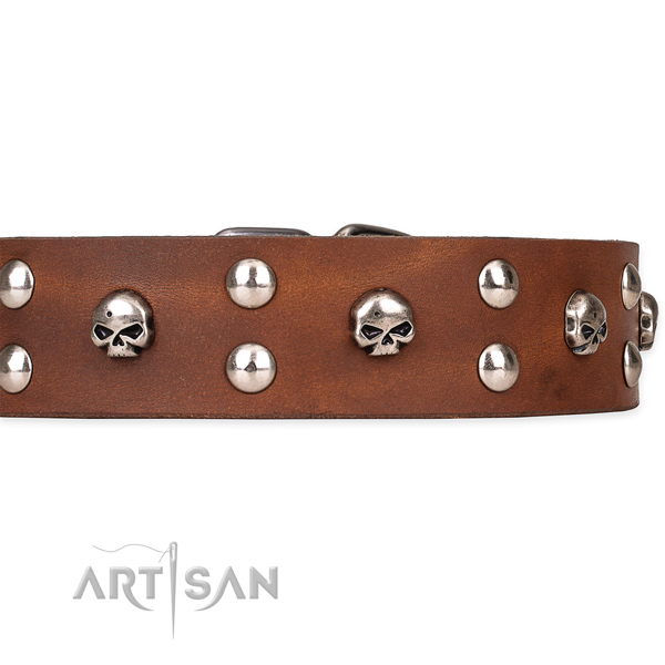 Full grain leather dog collar with smoothed leather strap
