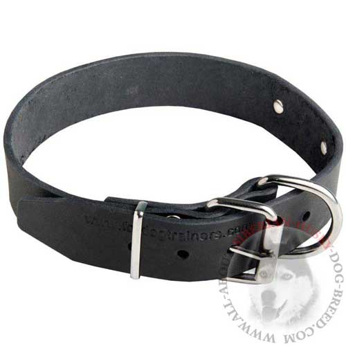 Personolized Siberian Husky Leather Collar with Nickel Buckle and D-ring