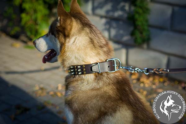 Top-quality Siberian Husky Colar with Durable Nickel-plated Buckle
