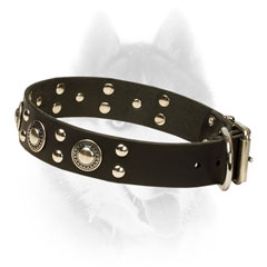 Leather Siberian Husky Collar Decorated with studs and conchos
