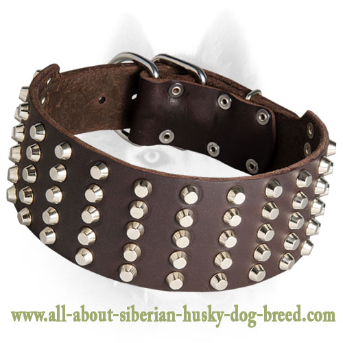 Extra Wide Leather Collar with Spikes for Siberian Husky
