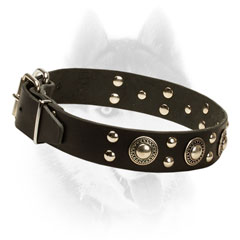 Firm Leather Siberian Husky Collar Equipped with studs and conchos