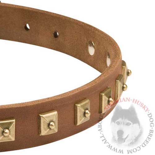 Brown Leather Siberian Husky Collar Adorned with Row of Studs