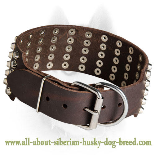 Leather Collar for Siberian Husky with 4 Rows of Spikes