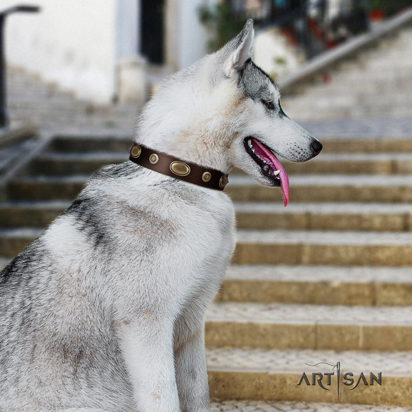 Siberian Husky leather dog collar with embellishments for comfy wearing