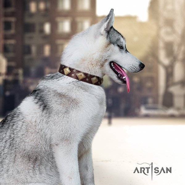 Siberian Husky natural genuine leather dog collar with adornments for comfy wearing