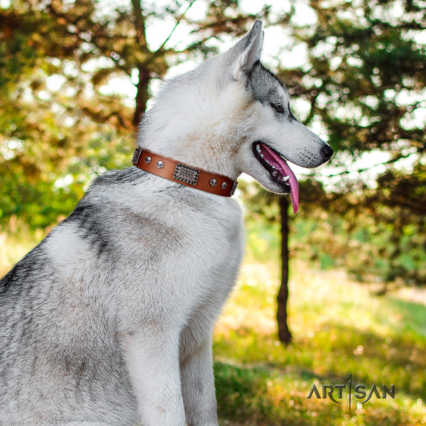 Siberian Husky genuine leather dog collar with decorations for walking