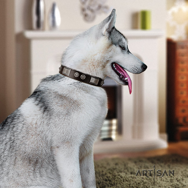 Siberian Husky unusual studded leather dog collar