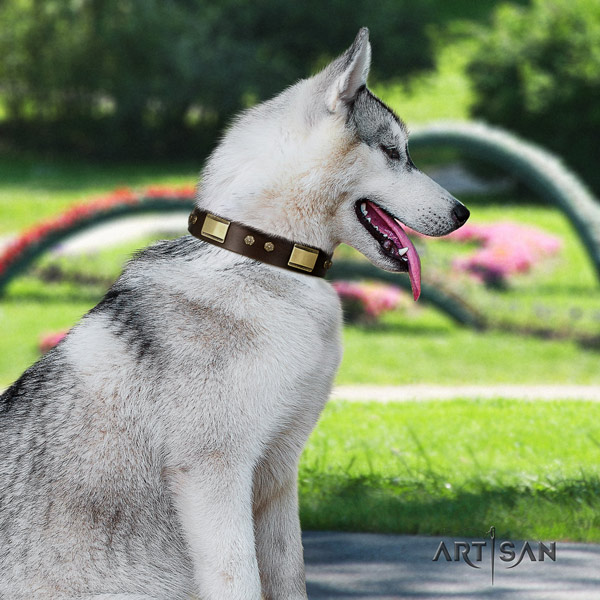 Siberian Husky leather dog collar with adornments for fancy walking