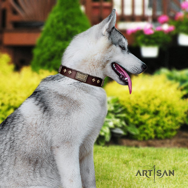 Siberian Husky full grain leather dog collar with embellishments for comfortable wearing