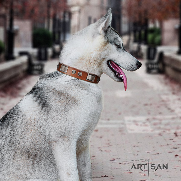Siberian Husky stunning adorned genuine leather dog collar