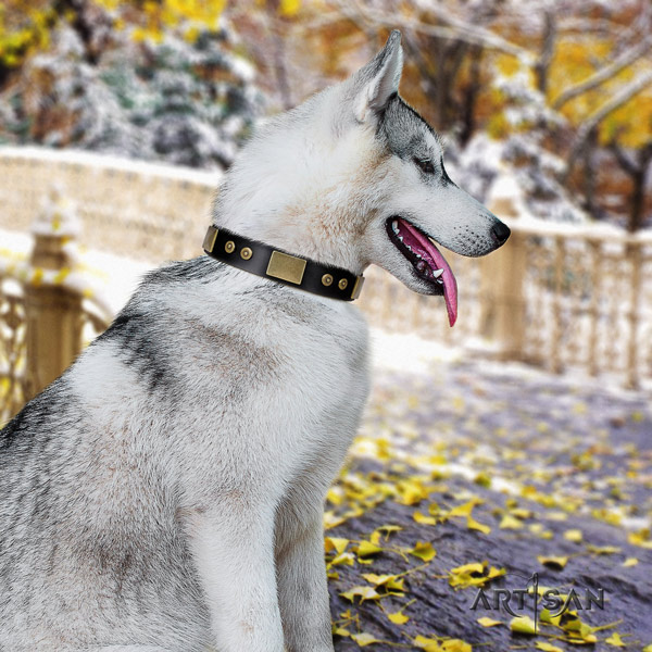 Siberian Husky full grain genuine leather dog collar with decorations for everyday walking