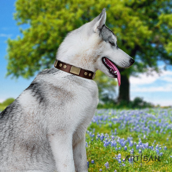Siberian Husky full grain genuine leather dog collar with embellishments for handy use