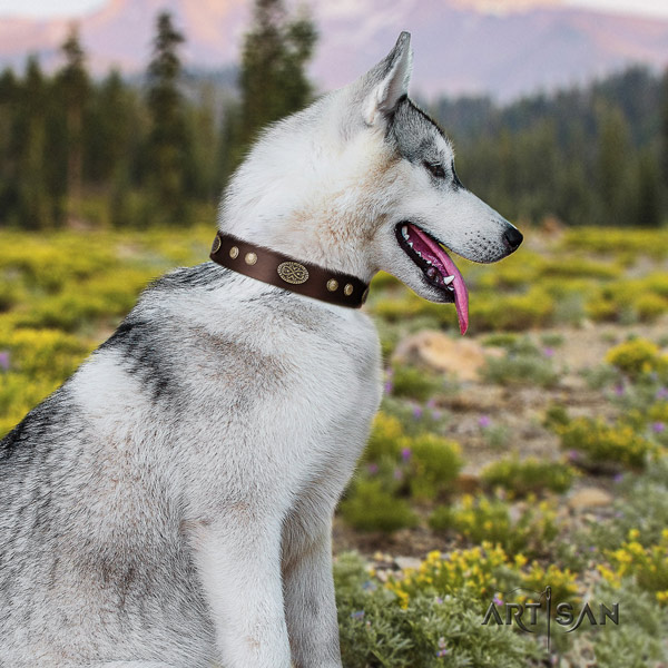 Siberian Husky leather dog collar with adornments for daily use