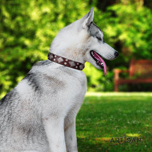 Siberian Husky full grain leather dog collar with adornments for daily use