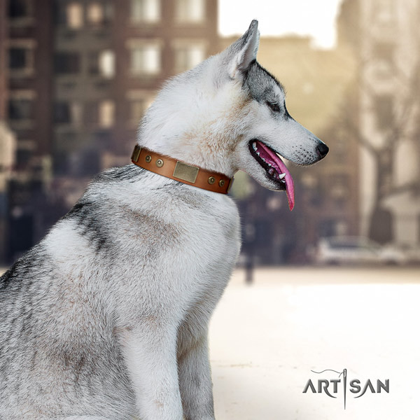 Siberian Husky full grain leather dog collar with embellishments for everyday use