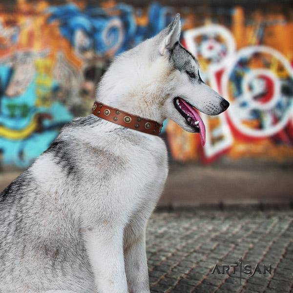 Siberian Husky full grain natural leather dog collar with studs for comfortable wearing