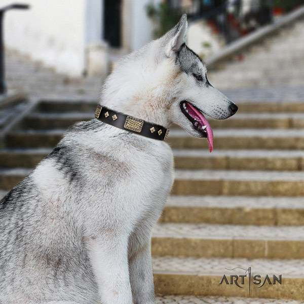 Siberian Husky full grain natural leather dog collar with adornments for comfortable wearing