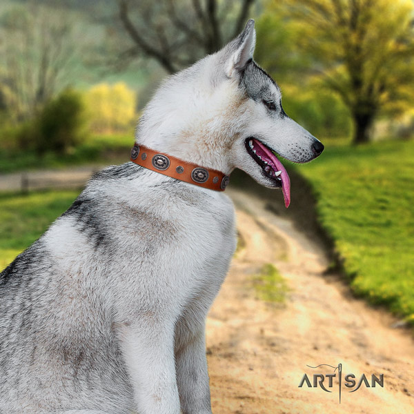 Siberian Husky genuine leather dog collar with embellishments for easy wearing