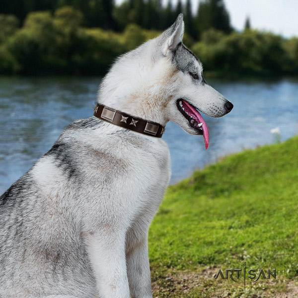 Siberian Husky exquisite studded full grain leather dog collar