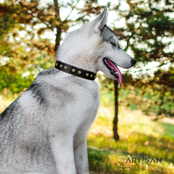 Siberian Husky full grain leather dog collar with decorations for fancy walking