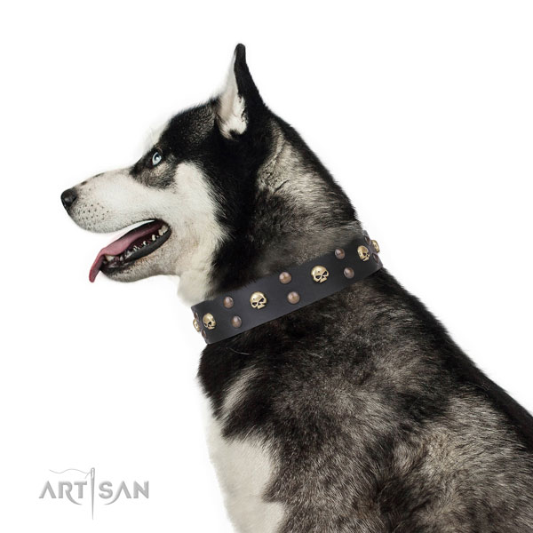 Siberian Husky easy wearing leather dog collar for handy use