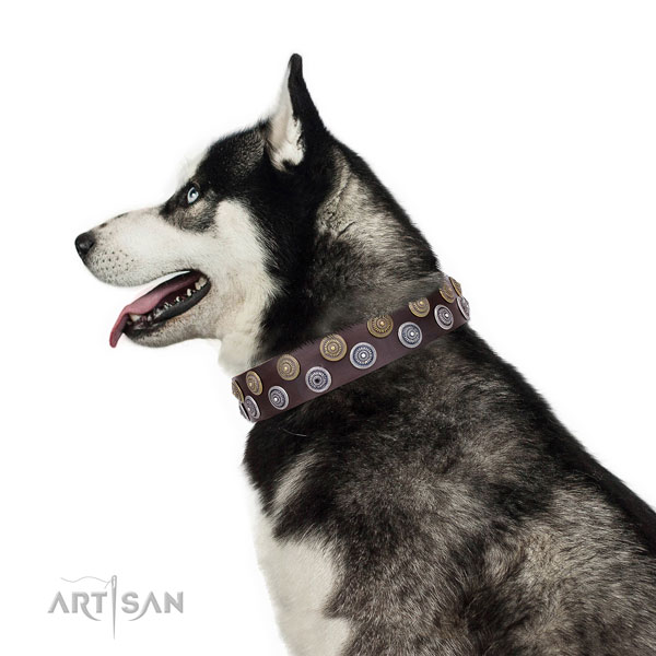 Siberian Husky designer full grain genuine leather dog collar for everyday walking