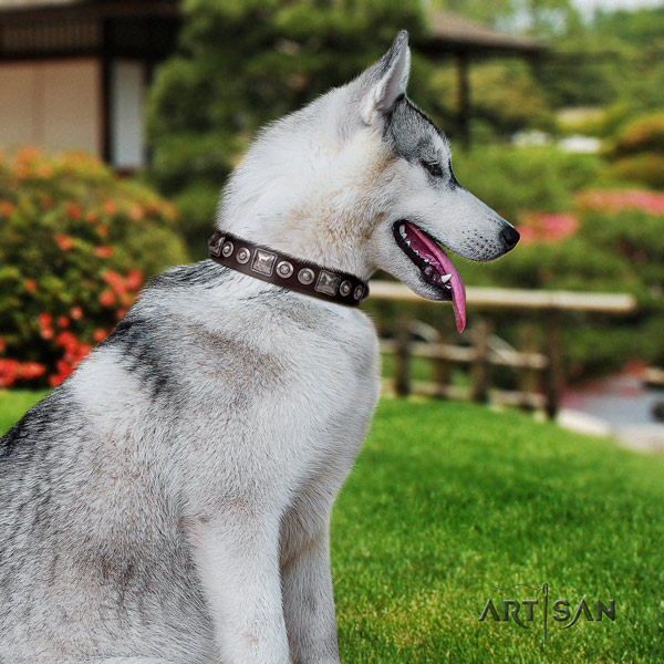 Siberian Husky natural genuine leather dog collar with decorations for daily walking