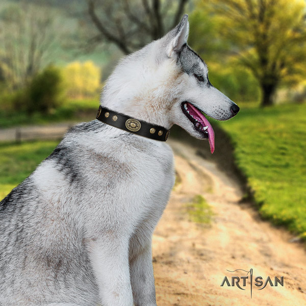 Siberian Husky natural genuine leather dog collar with studs for daily walking