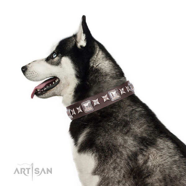 Siberian Husky decorated full grain genuine leather dog collar for walking