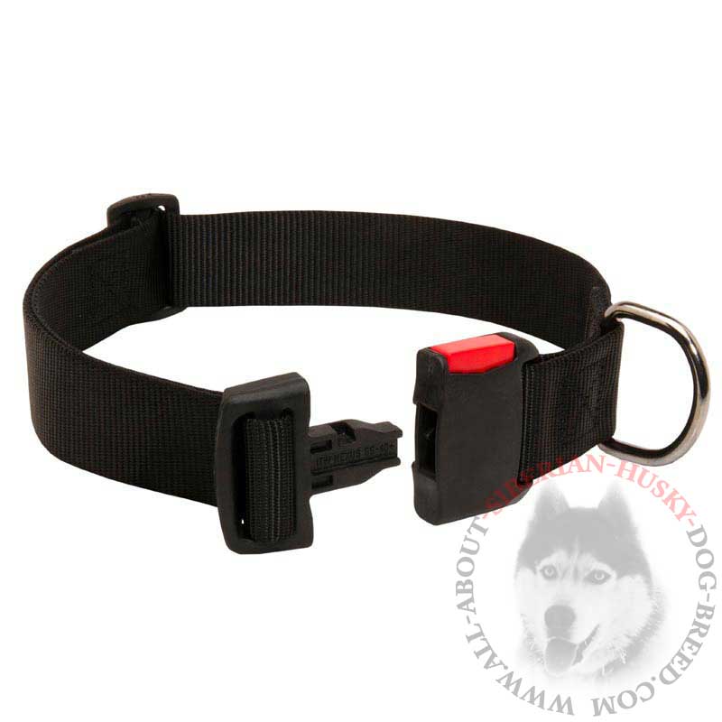Nylon Collar with quick release buckle 