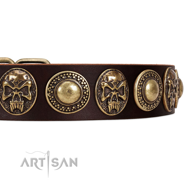 Genuine leather dog collar with studs for easy wearing