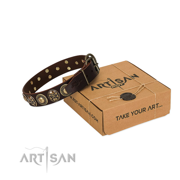Decorated leather dog collar for daily walking